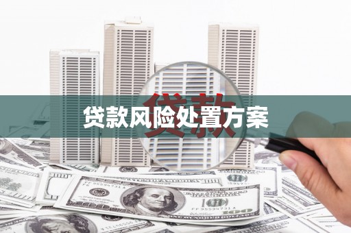 滦南贷款风险处置方案
