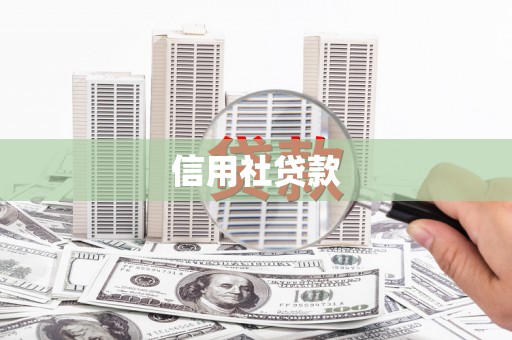 山东信用社贷款