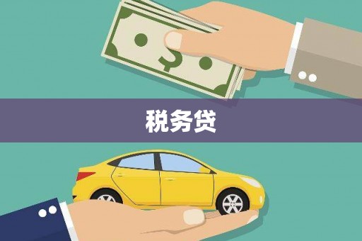 疏附税务贷