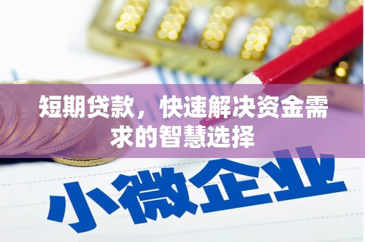 颍泉短期贷款，快速解决资金需求的智慧选择