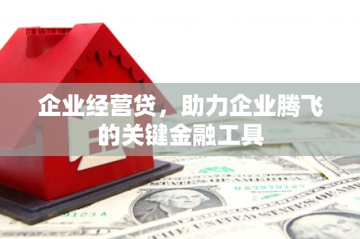 风顺堂区企业经营贷，助力企业腾飞的关键金融工具