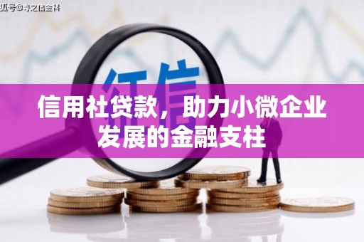 宁晋信用社贷款，助力小微企业发展的金融支柱