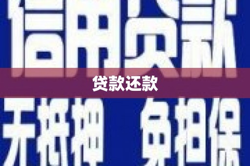 树林贷款还款