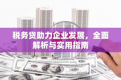 灵石税务贷助力企业发展，全面解析与实用指南