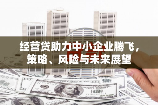 汇川经营贷助力中小企业腾飞，策略、风险与未来展望