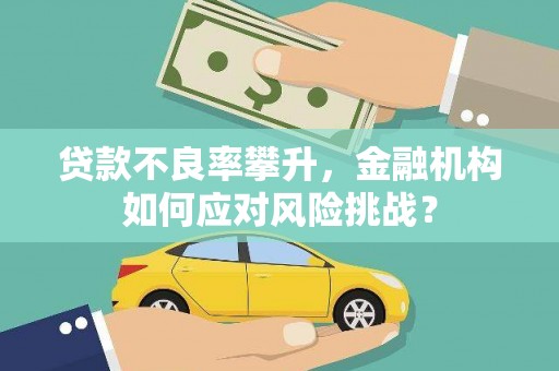 洪雅贷款不良率攀升，金融机构如何应对风险挑战？