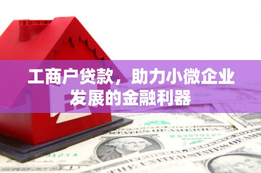 泗阳工商户贷款，助力小微企业发展的金融利器
