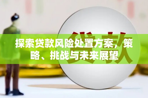张北探索贷款风险处置方案，策略、挑战与未来展望