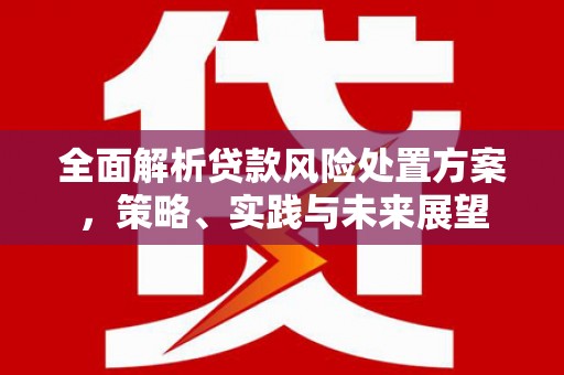 广汉全面解析贷款风险处置方案，策略、实践与未来展望