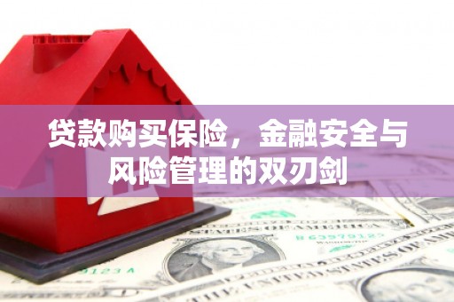 昭阳贷款购买保险，金融安全与风险管理的双刃剑