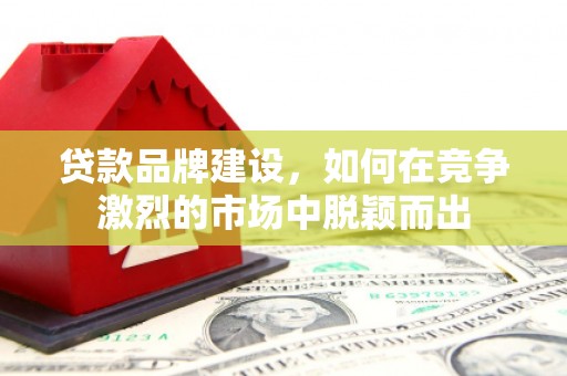 光明新区贷款品牌建设，如何在竞争激烈的市场中脱颖而出