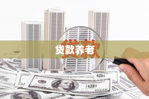 小金贷款养老