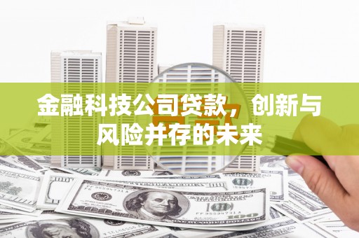 万峦金融科技公司贷款，创新与风险并存的未来