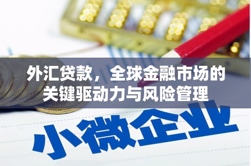 溆浦外汇贷款，全球金融市场的关键驱动力与风险管理