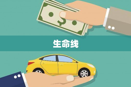 房县生命线