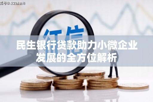 芦淞民生银行贷款助力小微企业发展的全方位解析