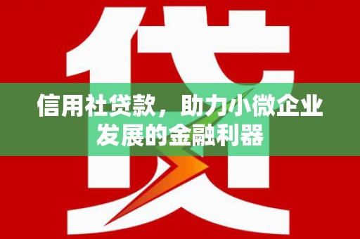 师宗信用社贷款，助力小微企业发展的金融利器