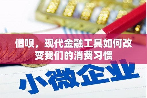 六横借呗，现代金融工具如何改变我们的消费习惯