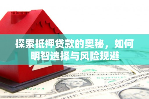 保税港区探索抵押贷款的奥秘，如何明智选择与风险规避