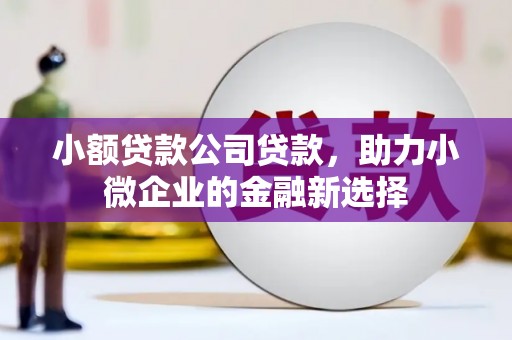 汤原小额贷款公司贷款，助力小微企业的金融新选择