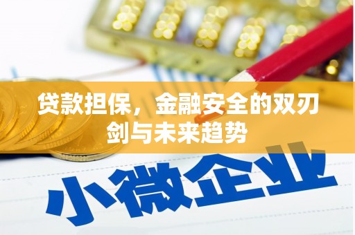 西市贷款担保，金融安全的双刃剑与未来趋势