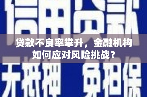 东兴贷款不良率攀升，金融机构如何应对风险挑战？