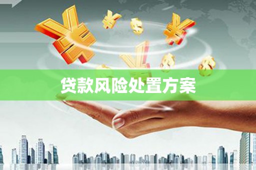 龙岗贷款风险处置方案