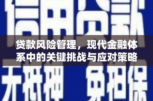 蒲江贷款风险管理，现代金融体系中的关键挑战与应对策略