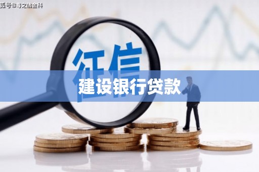 岱岳建设银行贷款