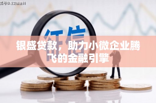 宜章银盛贷款，助力小微企业腾飞的金融引擎