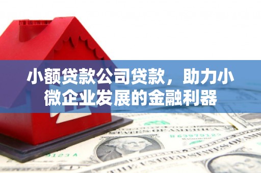 麻山小额贷款公司贷款，助力小微企业发展的金融利器