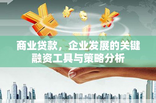 丘北商业贷款，企业发展的关键融资工具与策略分析