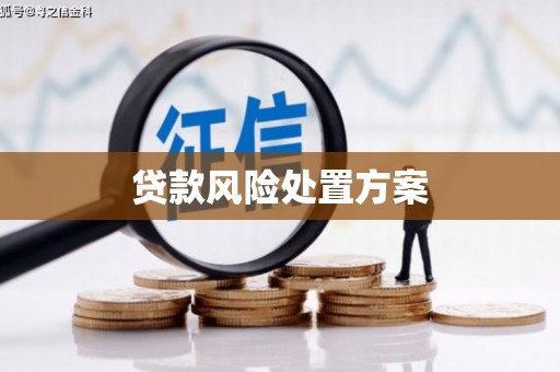 龙江贷款风险处置方案