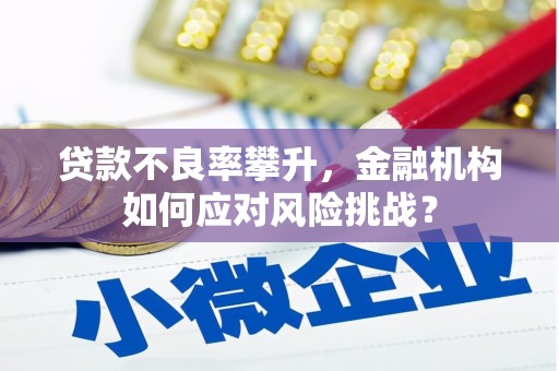 崖州贷款不良率攀升，金融机构如何应对风险挑战？