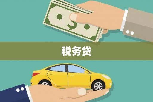 金安税务贷