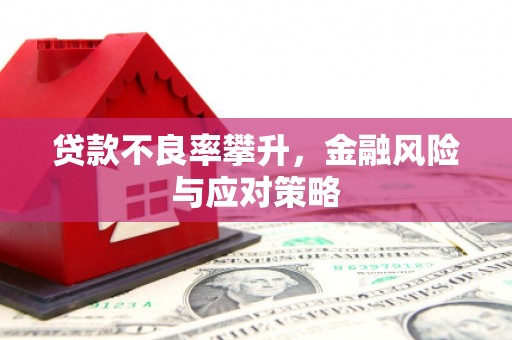 朔城贷款不良率攀升，金融风险与应对策略