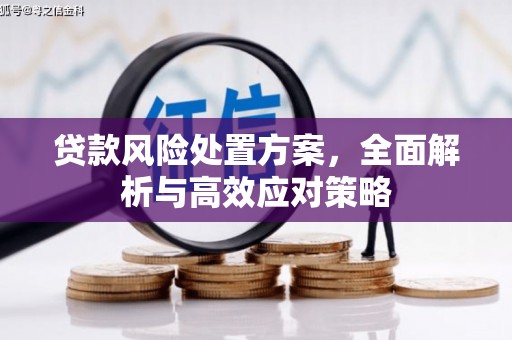 常山贷款风险处置方案，全面解析与高效应对策略
