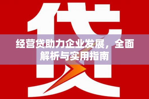 通川经营贷助力企业发展，全面解析与实用指南
