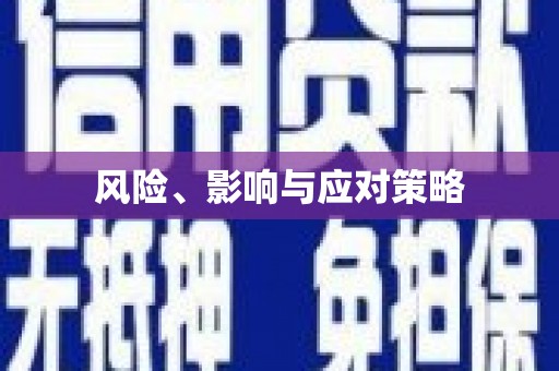 盘县风险、影响与应对策略