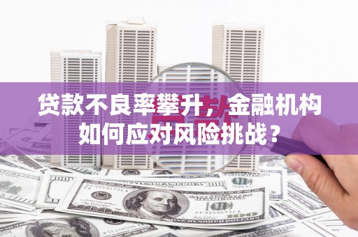 马村贷款不良率攀升，金融机构如何应对风险挑战？