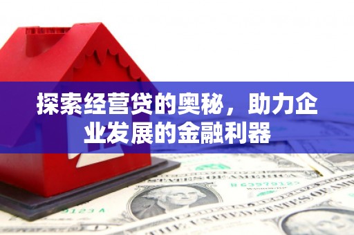 宁明探索经营贷的奥秘，助力企业发展的金融利器
