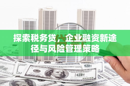 雨花台探索税务贷，企业融资新途径与风险管理策略