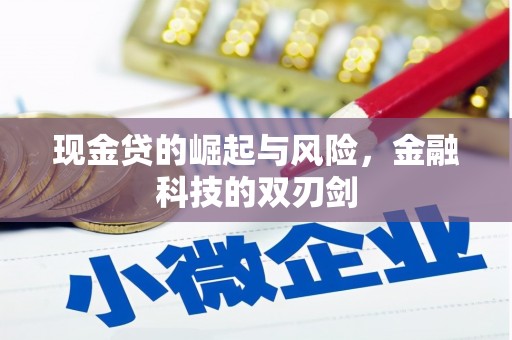 怀远现金贷的崛起与风险，金融科技的双刃剑