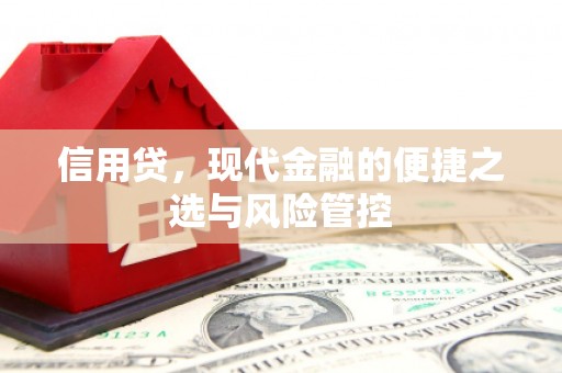 甘孜信用贷，现代金融的便捷之选与风险管控