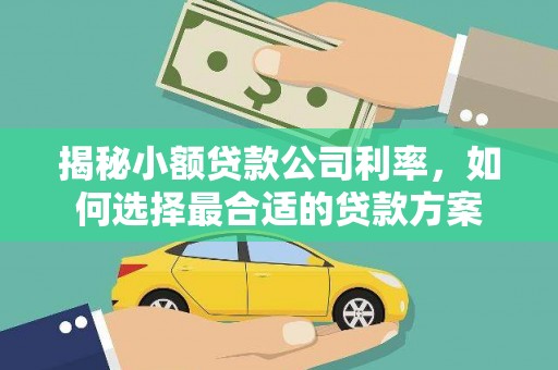 金溪揭秘小额贷款公司利率，如何选择最合适的贷款方案