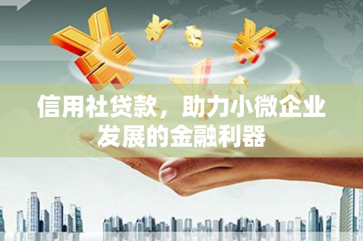 麻涌信用社贷款，助力小微企业发展的金融利器
