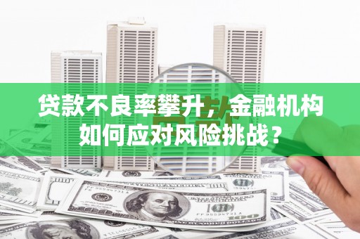班戈贷款不良率攀升，金融机构如何应对风险挑战？
