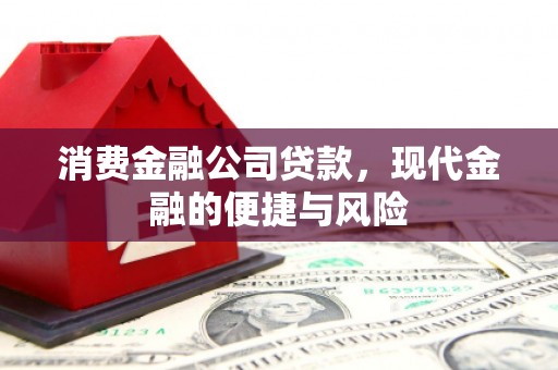 中和消费金融公司贷款，现代金融的便捷与风险