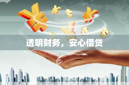洛扎透明财务，安心借贷