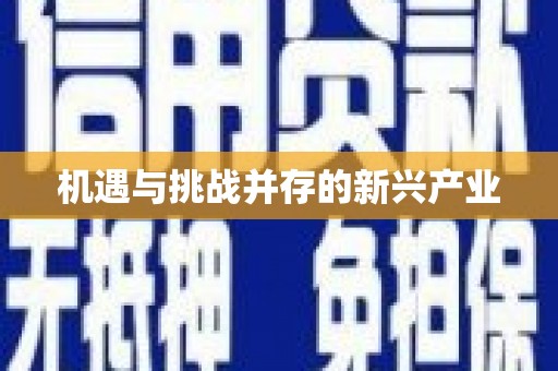朔城机遇与挑战并存的新兴产业